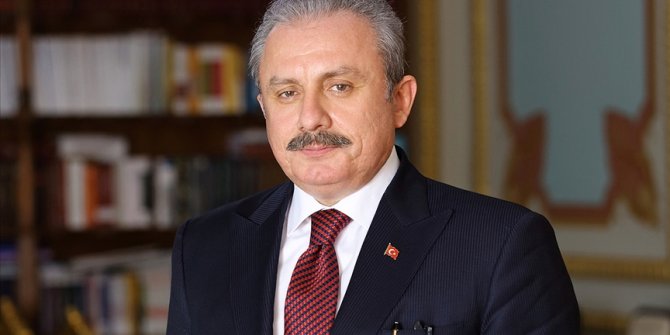 Türkiye Büyük Millet Meclisi Başkanı Mustafa Şentop'tan yeni yıl mesajı