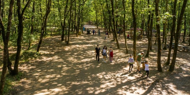 Ormanya'ya 5 milyon ziyaretçi