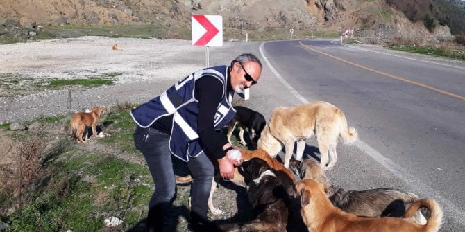 Türk polisi yasaklarda aç kalan hayvanları unutmadı