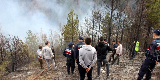 Kastamonu'da iki yerde orman yangını çıktı