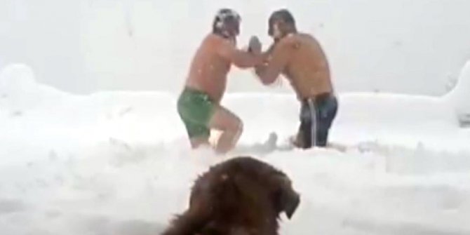 Vatandaşlar karda güreş tuttu. Köpekler bile olan biteni merakla izledi
