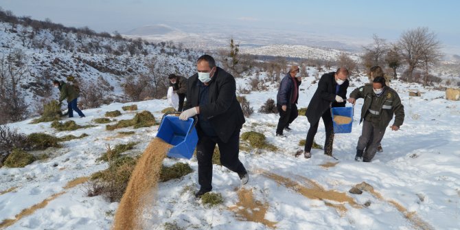 Aksaray'da yoğun kar yağışı sebebiyle yaban hayvanlarına yem dağıtıldı