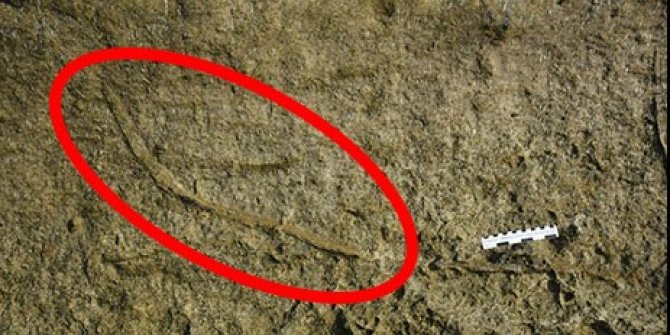 Araştırmacılar kayalık bir bölgede buldu. Uzunluğu tam 2 metre ve okyanus tabanında 20 milyon yıl gezdiler