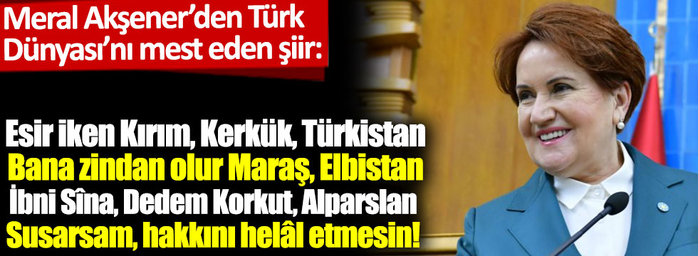 Meral Akşener'den Türk Dünyası'nı mest eden şiir