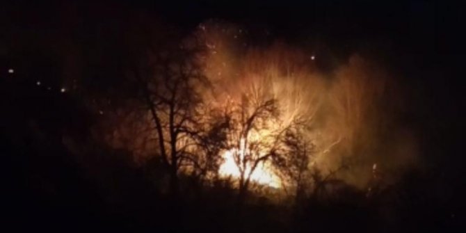 Fatsa'da ormanlık alanda yangın