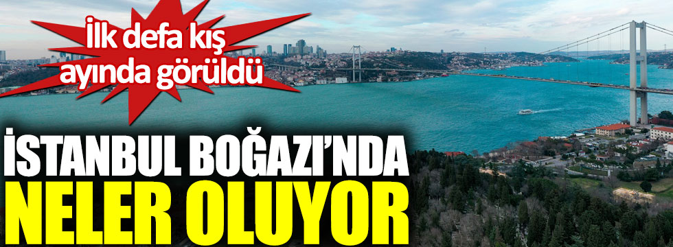 İstanbul Boğazı’nda neler oluyor. İlk defa kış ayında turkuaz rengine büründü!