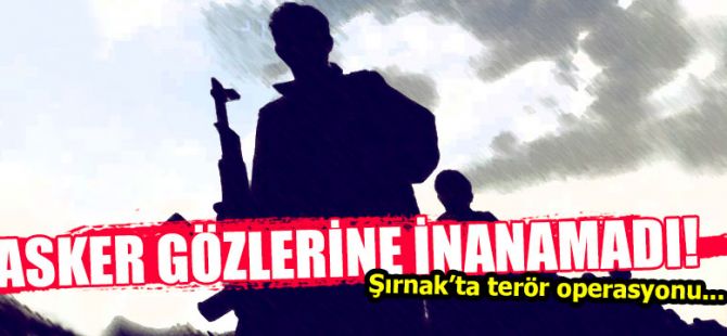 Şırnak'taki terör operasyonu