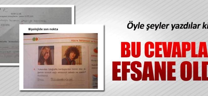 Bu cevaplar efsane oldu