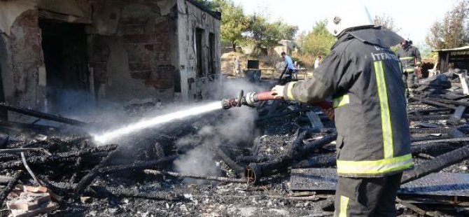 Kedi, yavruları için yanan binanın önünden ayrılmadı