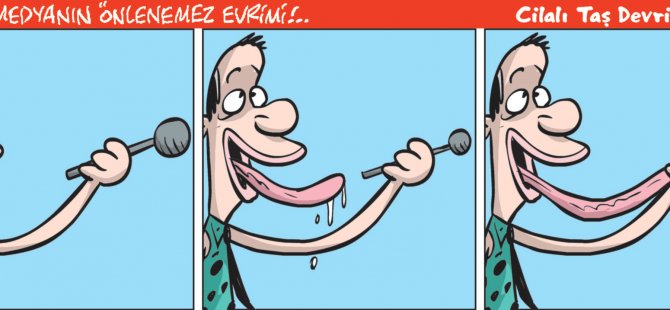 13 Kasım 2018 / Günün Karikatürü / Emre ULAŞ