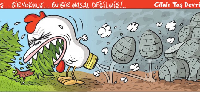 2 Ağustos 2019 / Günün Karikatürü / Emre ULAŞ