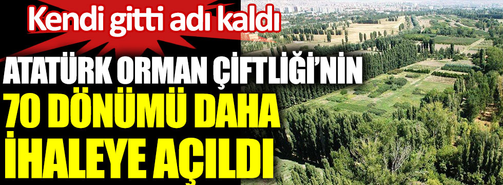 Atatürk Orman Çiftliği’nin 70 dönümü daha ihaleye açıldı. Kendi gitti adı kaldı