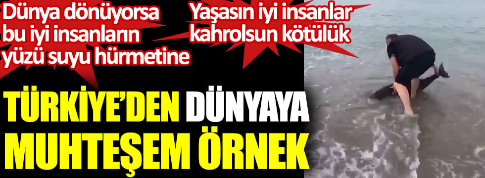 Türkiye'den dünyaya muhteşem örnek. Dünya dönüyorsa bu iyi insanların yüzü suyu hürmetine