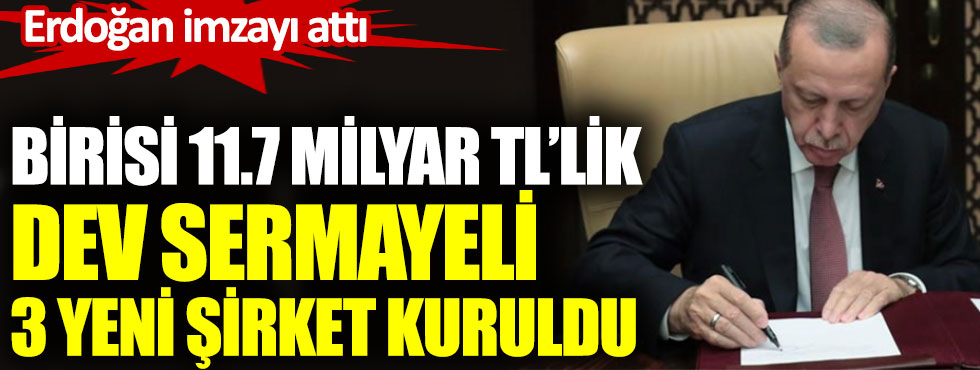 Erdoğan imzayı attı. Birisi 11.7 milyar TL’lik dev sermayeli 3 yeni şirket kuruldu