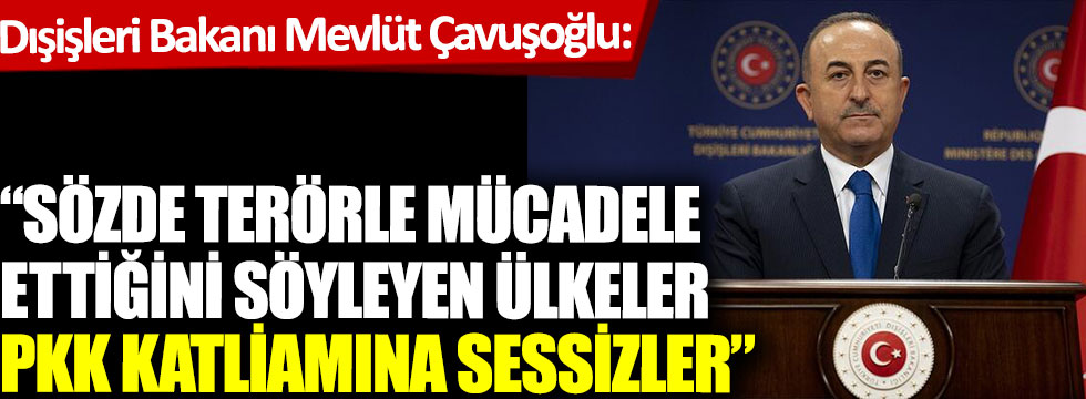 Bakan Çavuşoğlu: Sözde terörle mücadele ettiğini söyleyen ülkeler PKK katliamına sessizler
