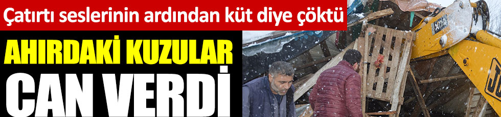 Bursa'daki ahır çatırtı seslerinin ardından küt diye çöktü: Kuzular can verdi