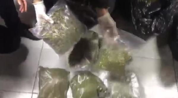 İstanbul'da uyuşturucu operasyonu: 64 kilo bonzai ele geçirildi
