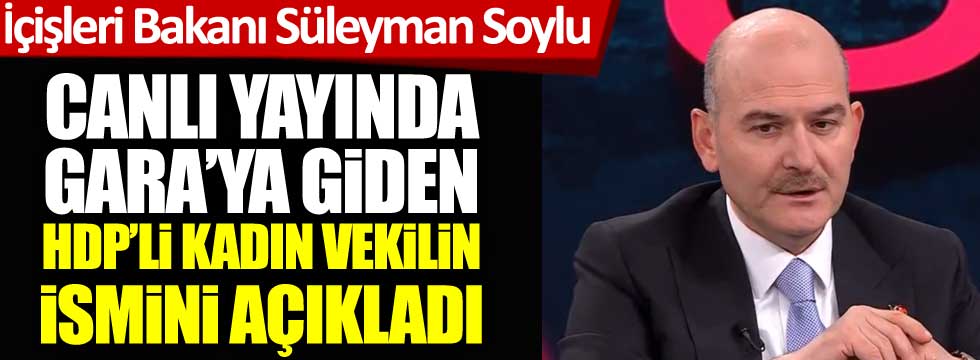 İçişleri Bakanı Süleyman Soylu, Gara'ya giden HDP'li kadın milletvekilinin ismini açıkladı