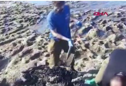 İsrail'de katran felaketi sahilleri kapattırdı ıldı