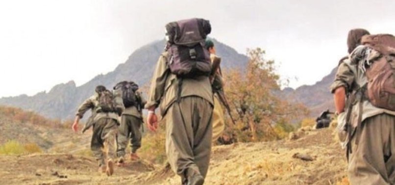 PKK'dan kaçış hızlandı! 2 terörist daha teslim oldu