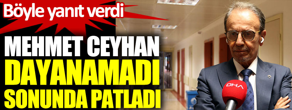 Prof. Dr. Mehmet Ceyhan dayanamadı sonunda patladı. Böyle yanıt verdi