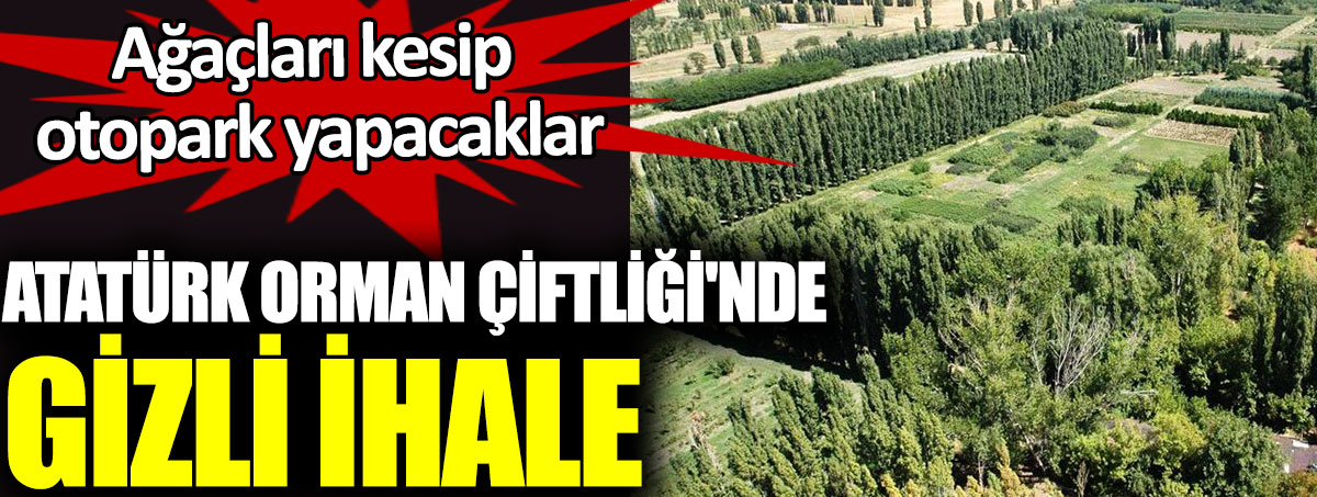 Atatürk Orman Çiftliği'nde gizli ihale. Ağaçları kesip otopark yapacaklar