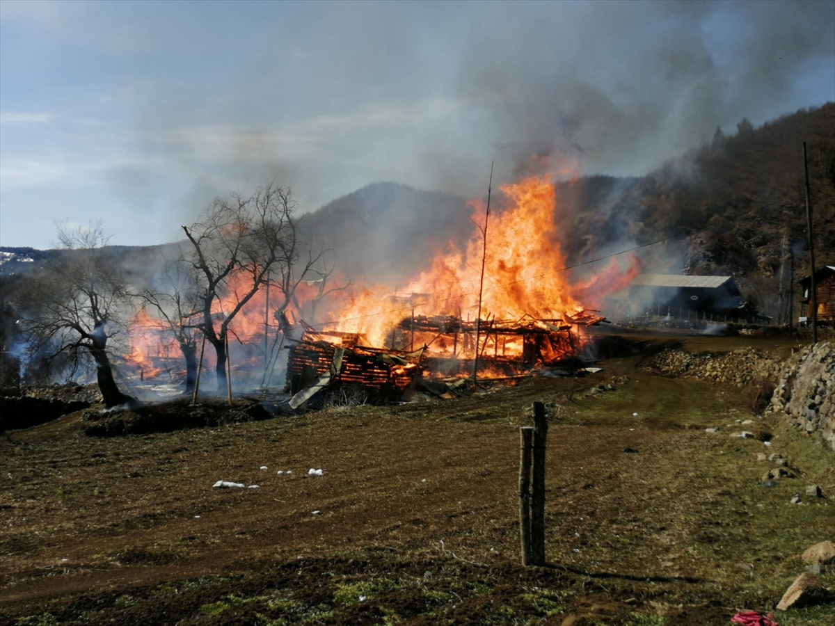 Artvin'de yangın: 5 ev kullanılmaz hale geldi