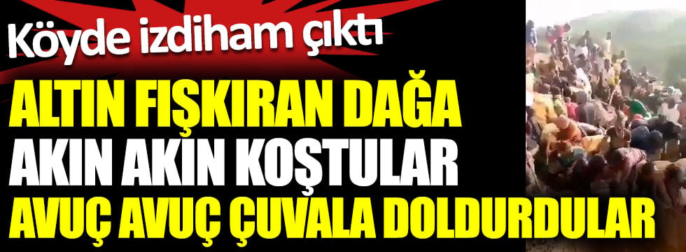 Altın fışkıran dağa akın akın koştular avuç avuç çuvala doldurdular. Köyde izdiham çıktı