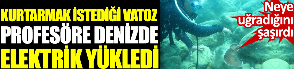 Prof. Dr. Gökoğlu'nu denizde elektrik çarptı. Neye uğradığını şaşırdı