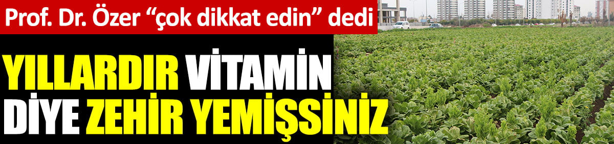 Prof. Dr. Mehmet Sertaç Özer çok dikkat edin dedi. Yıllardır vitamin diye zehir yemişsiniz