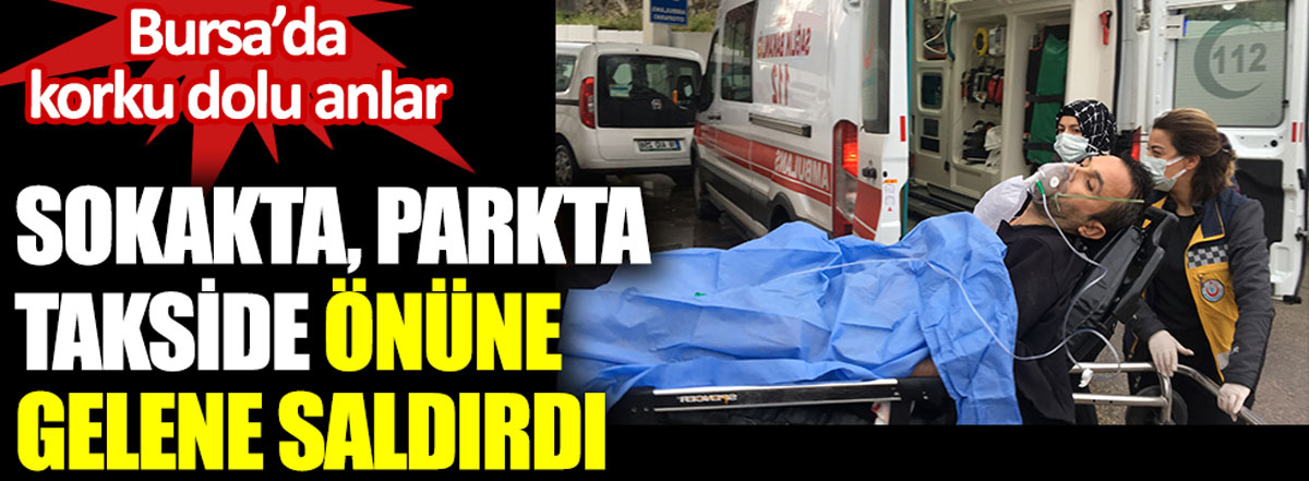 Bursa'da korku dolu anlar. Sokakta, parkta, takside önüne gelene saldırdı