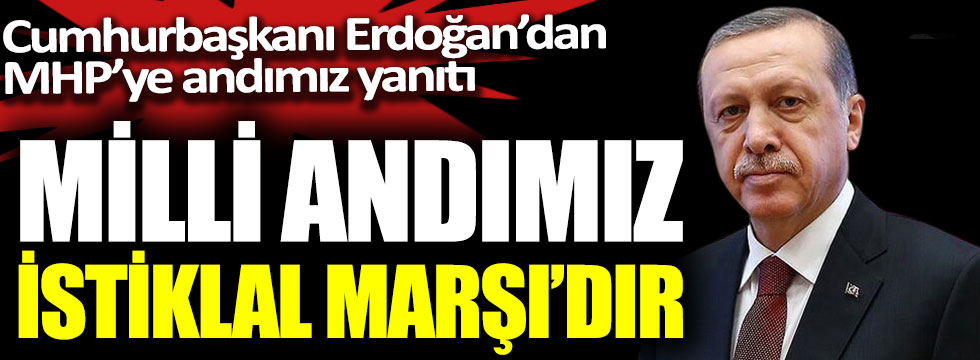 Cumhurbaşkanı Erdoğan'dan MHP'ye Andımız yanıtı