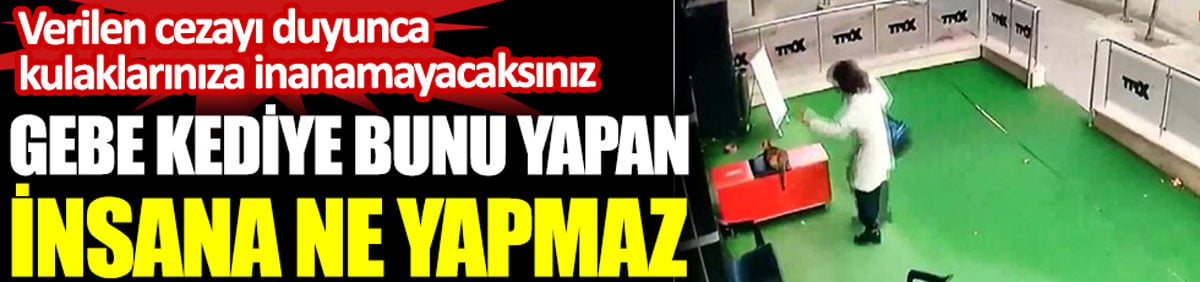 Gebe kediye bunu yapan insana ne yapmaz. Verilen cezayı duyunca kulaklarınıza inanamayacaksınız