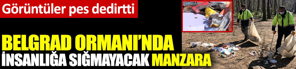 Belgrad Ormanı'nda insanlığa sığmayacak manzara. Görüntüler pes dedirtti