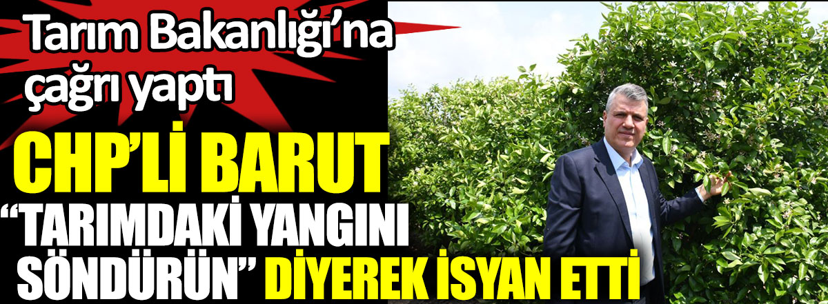 CHP'li Ayhan Barut, tarımdaki yangını söndürün diyerek isyan etti. Tarım Bakanlığı'na çağrı yaptı
