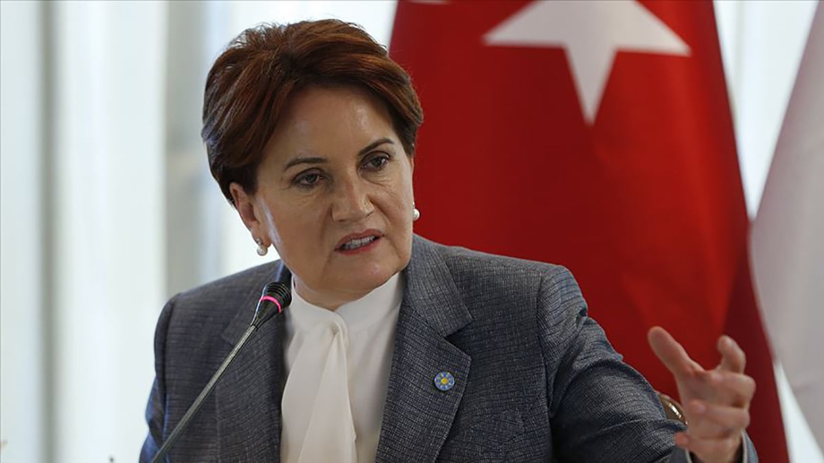 Meral Akşener'den Alparslan Türkeş mesajı