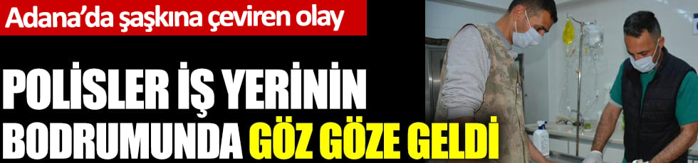 Adana'da şaşkına çeviren olay. Polisler iş yerinin bodrumunda göz göze geldi