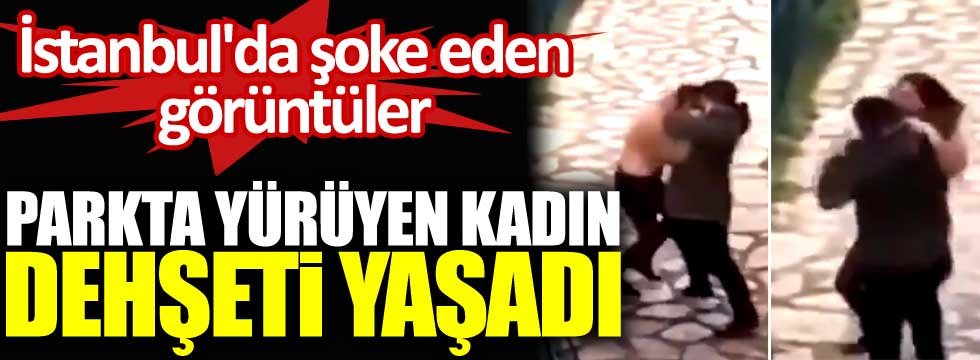 İstanbul'da şoke eden görüntüler. Parkta yürüyen kadın dehşeti yaşadı