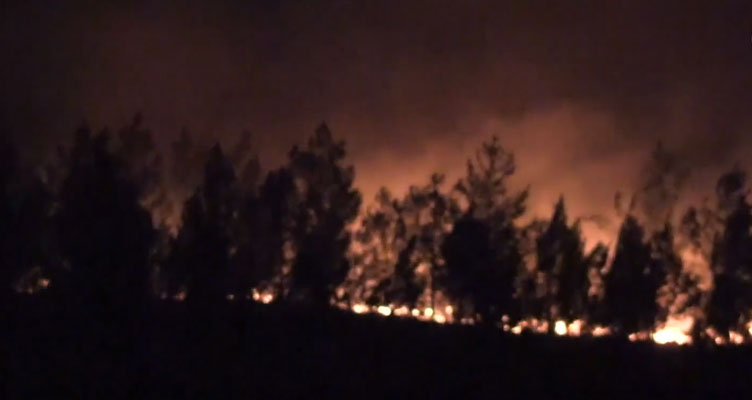 Muğla'da iki farklı ormanlık alanda yangın