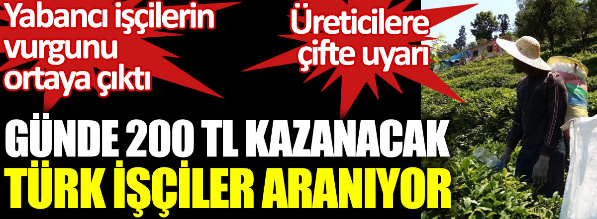 Günde 200 TL kazanacak Türk işçiler aranıyor. Yabancı işçilerin vurgunu ortaya çıktı. Üreticilere çifte uyarı