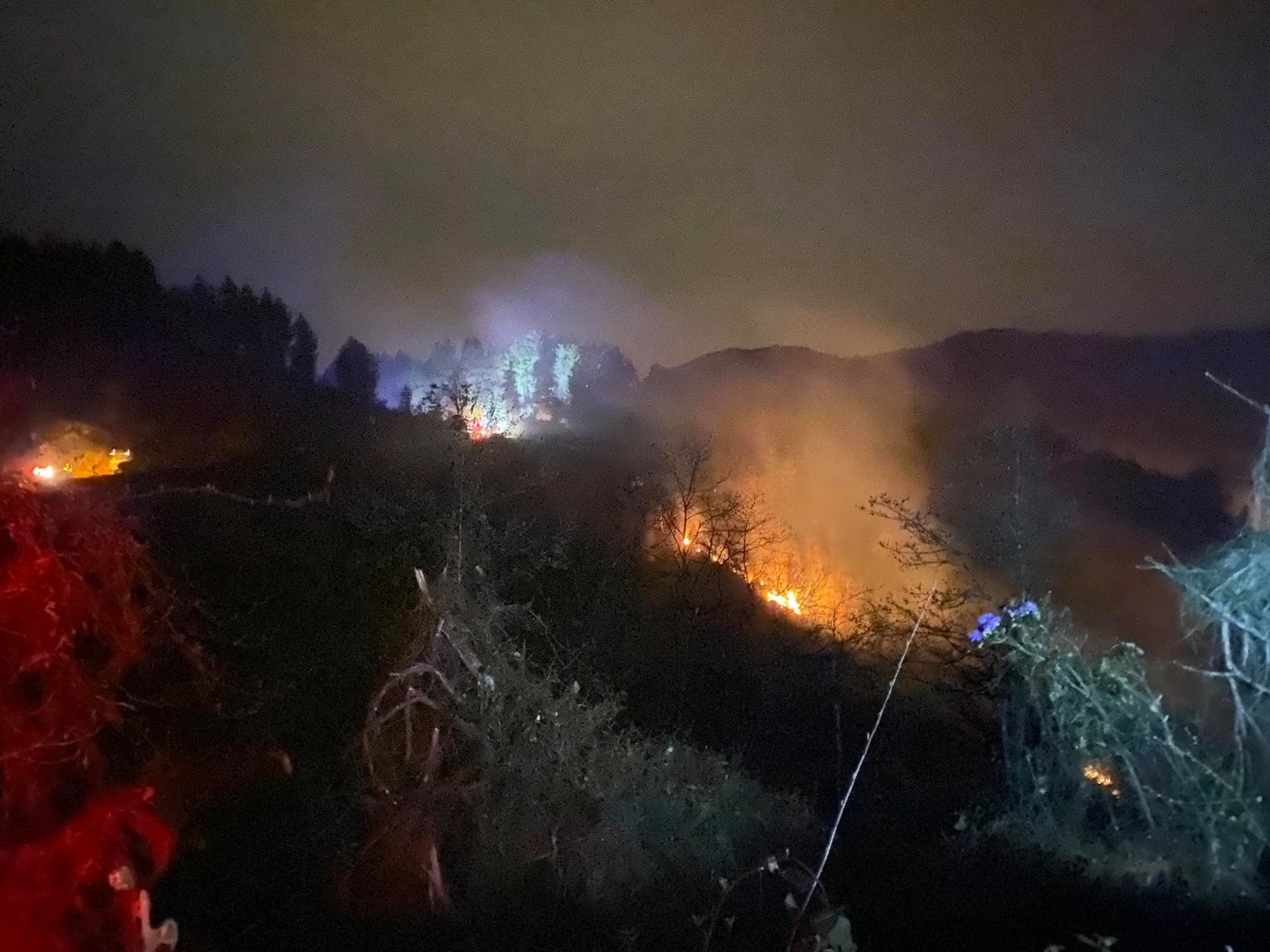 Rize'de orman yangını