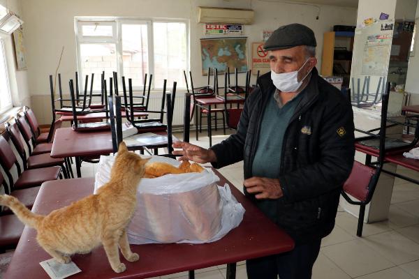 Kapanan kahvehanesini sokak hayvanlarına açtı