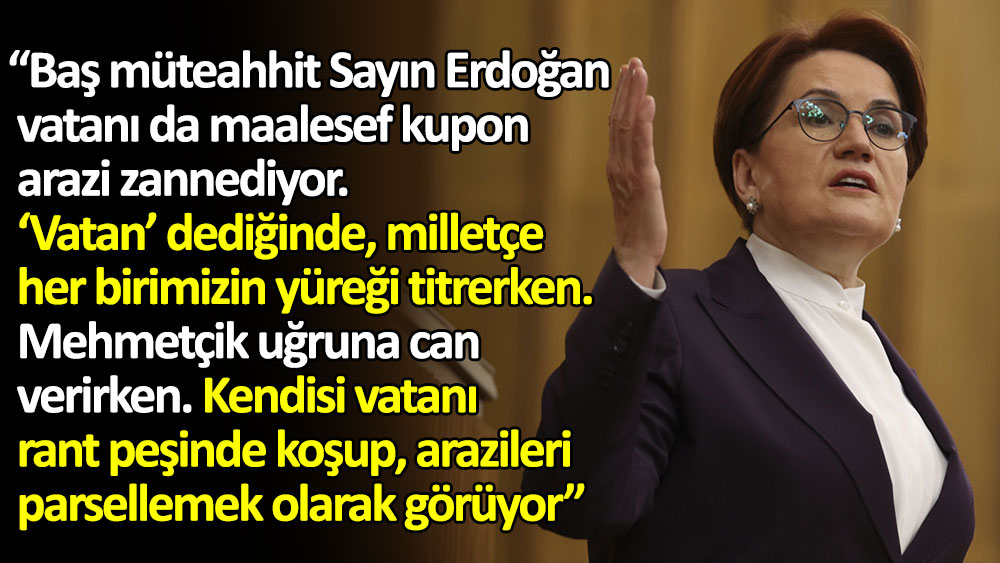İYİ Parti lideri Meral Akşener'den Erdoğan'a vatan tepkisi