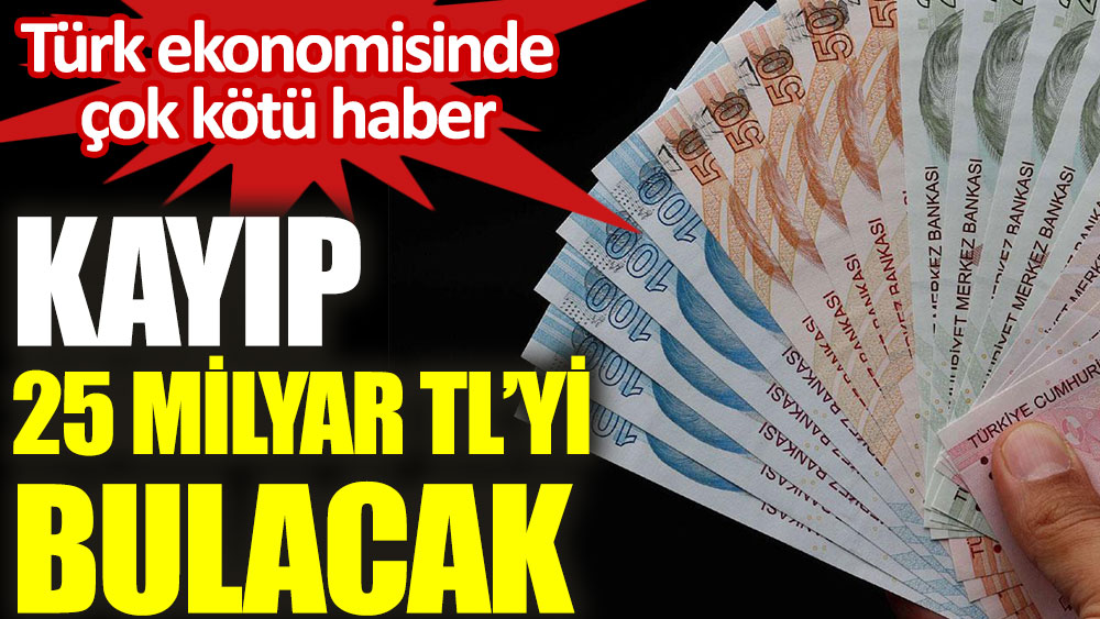 Türk ekonomisinde çok kötü haber. Kayıp 25 milyar Türk Lirası'nı bulacak