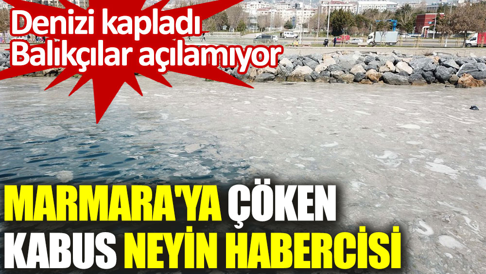 Marmara'ya çöken kabus neyin habercisi. Denizi kapladı balıkçılar açılamıyor