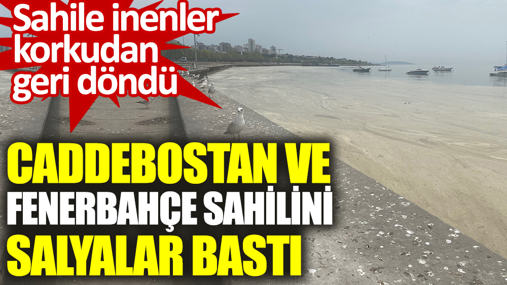 Caddebostan ve Fenerbahçe sahilini salyalar bastı. Sahile inenler korkudan geri döndü