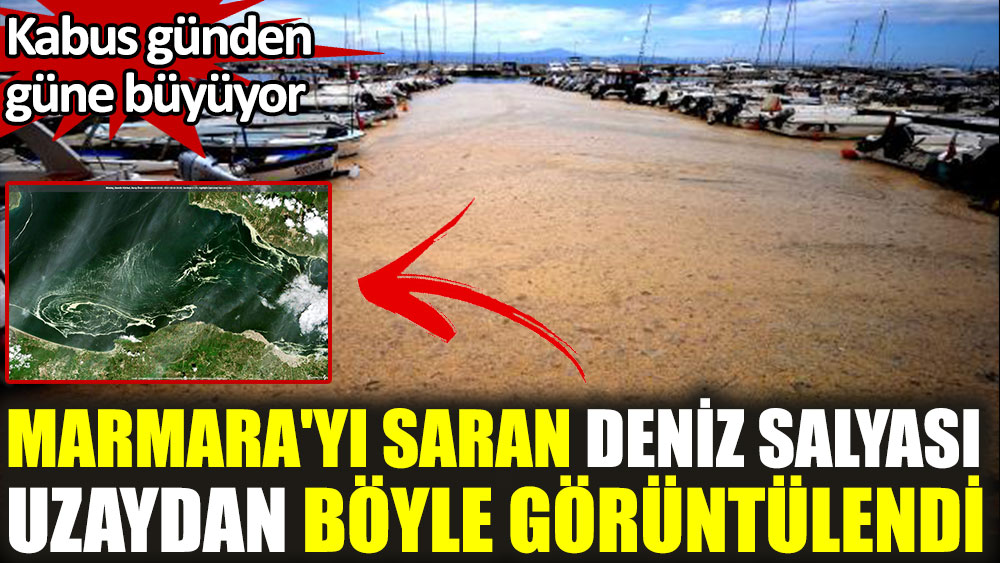 Marmara'yı saran deniz salyası Mudanya'yı sardı