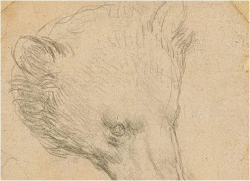 Da Vinci’nin çizimine rekor fiyat
