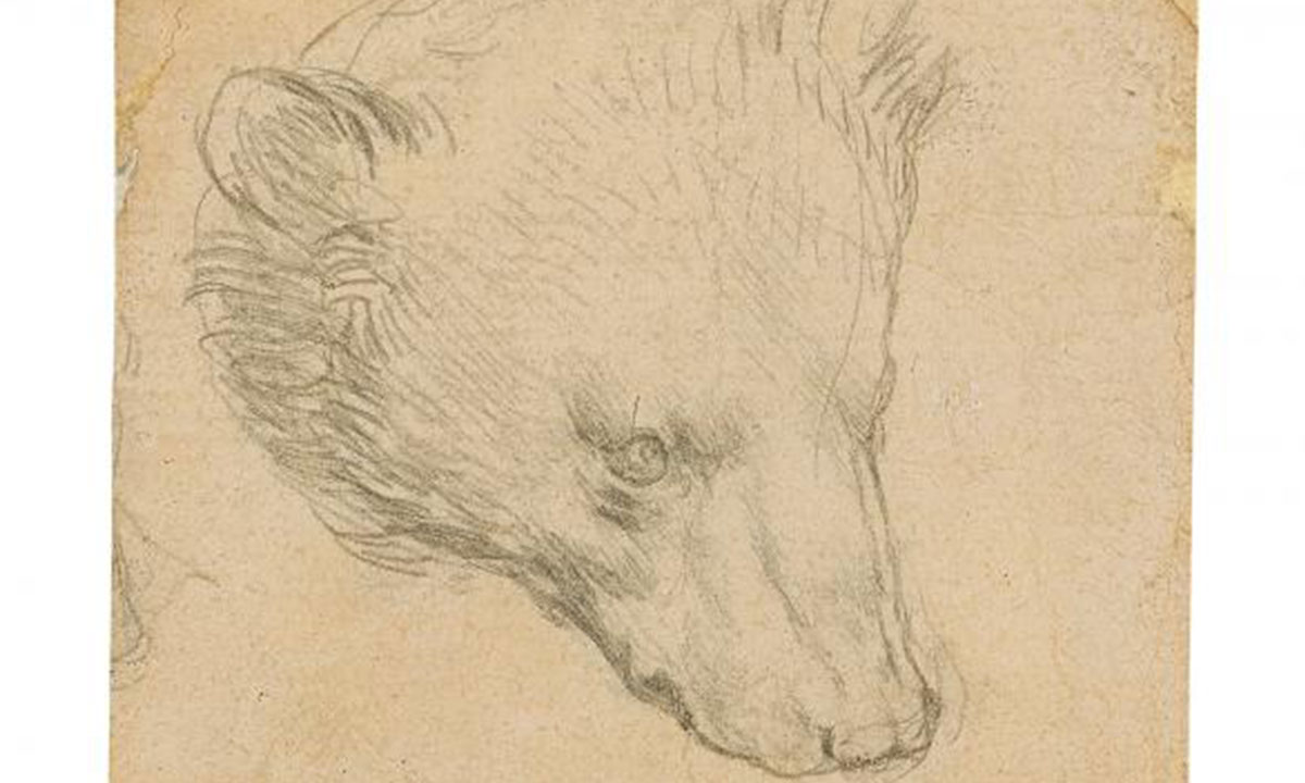Da Vinci'nin Ayı Kafası çizimine rekor fiyat tahmini