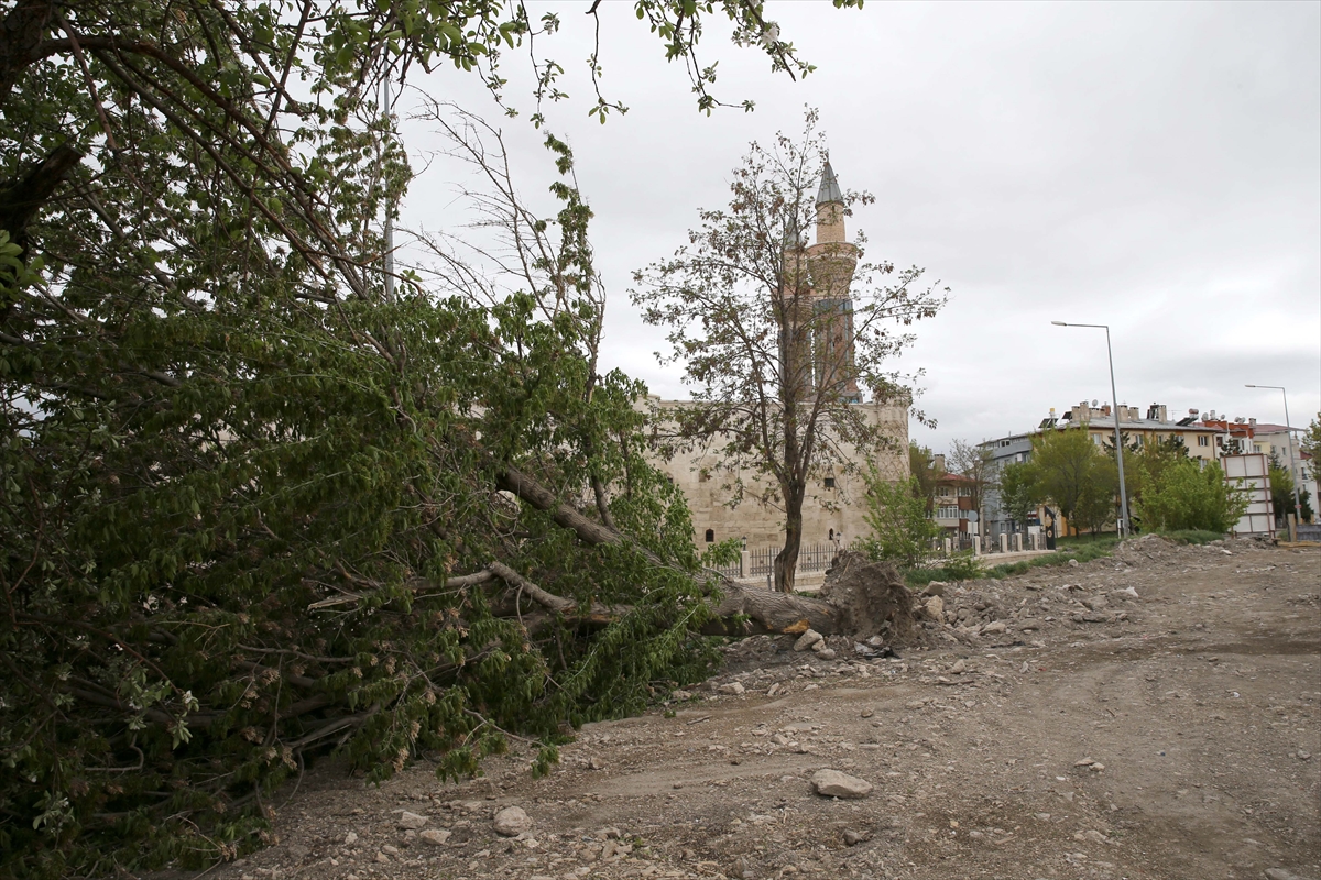 Sivas'ta şiddetli fırtına ağaçları yıktı geçti